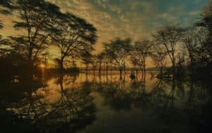 Landschap van Kenia