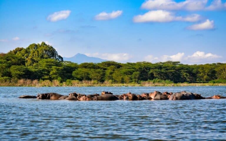 VBR - 14-daagse reis door ongerept Kenia (2)