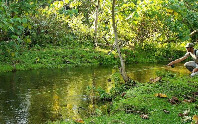 VBR - 14-daagse reis door ongerept Kenia