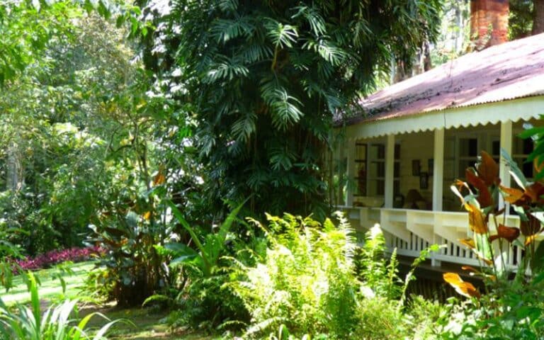 VBR - 18-daagse natuurreis West-Kenia (2)