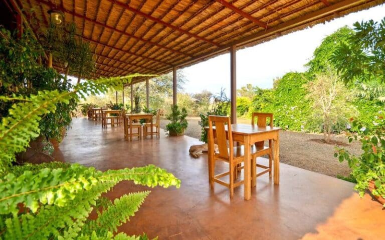 VBR - In twee weken het Noorden van Kenia ontdekken (6)