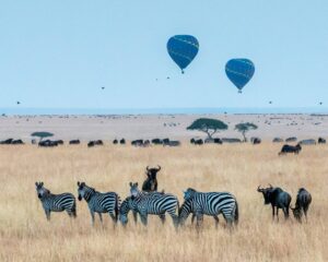 Dieren in het gras met twee luchtballonen op de achtergrond
