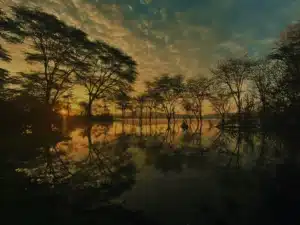Voorbeeldreizen Kenia 2 tony samuel gachie SE4QHZozT8U unsplash