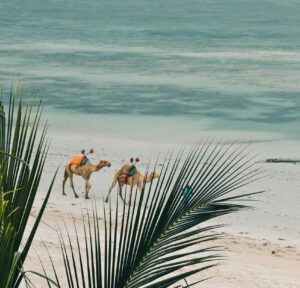 Reis in Kenia