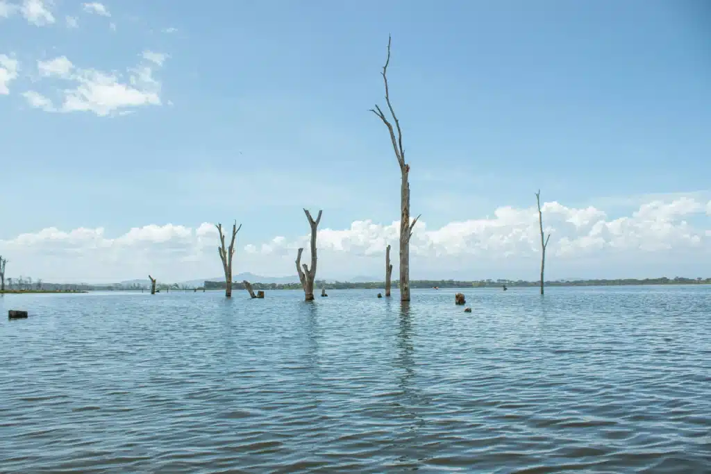 Lake Naivasha omgeving 1