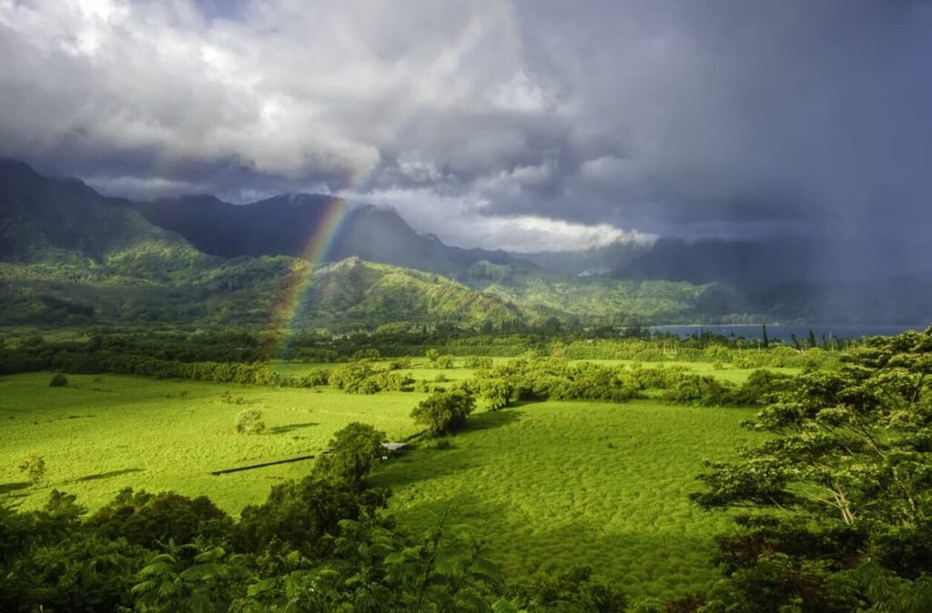Last-minute reis naar Kenia in het regenseizoen