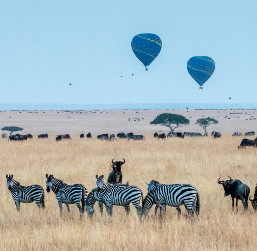 Dieren in het gras met twee luchtballonen op de achtergrond